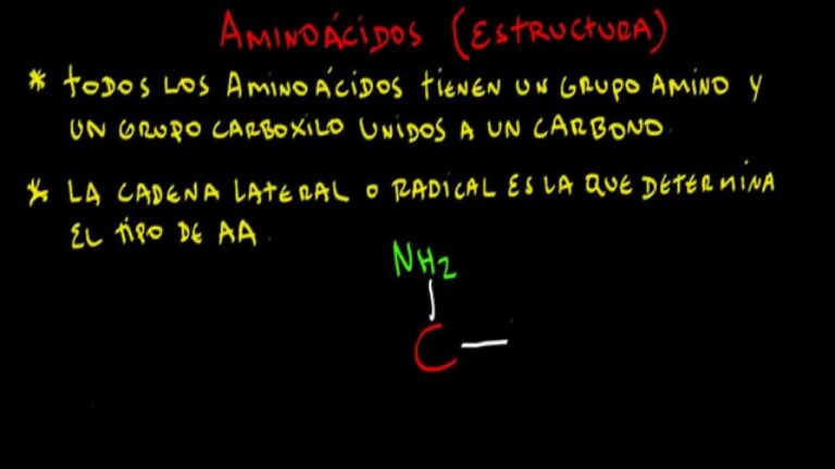 Fórmula general de aminoácidos: descubre la clave de su estructura