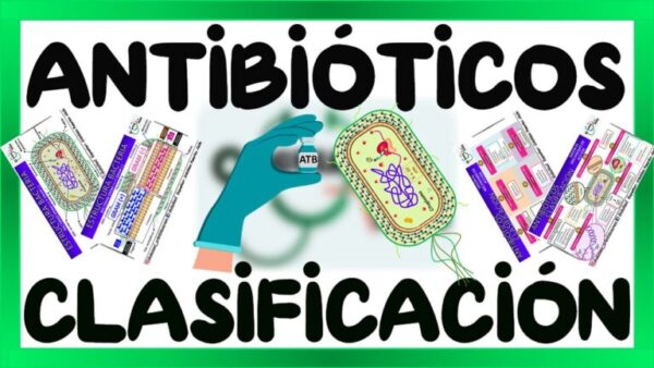 Guía esencial: Clasificación de los tipos de antibióticos | Actualizado ...